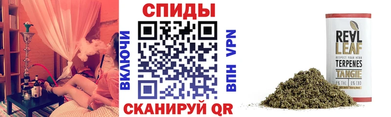 цены Семёнов Бутират BDO