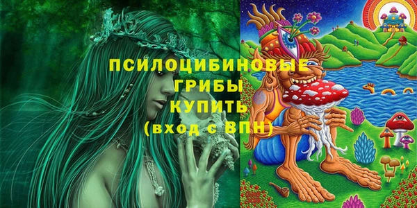 герыч Верхний Тагил
